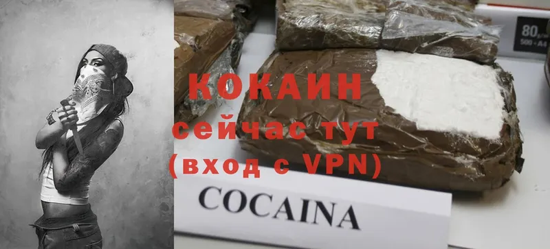 цены наркотик  blacksprut как зайти  COCAIN FishScale  Мензелинск 