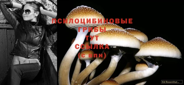 MDMA Мегион