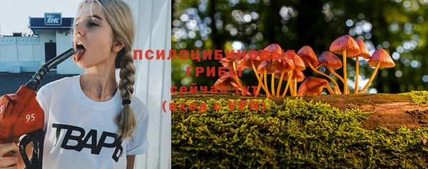 MESCALINE Магадан