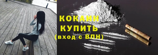 гидра Майский