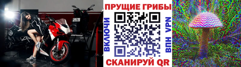 Псилоцибиновые грибы прущие грибы  закладки  Мензелинск 